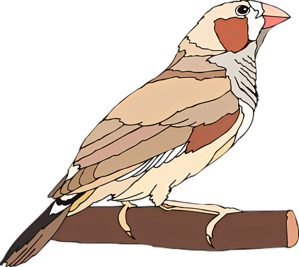 Illustrated Finch Wallpaper: Colorful Bird on Branch Art