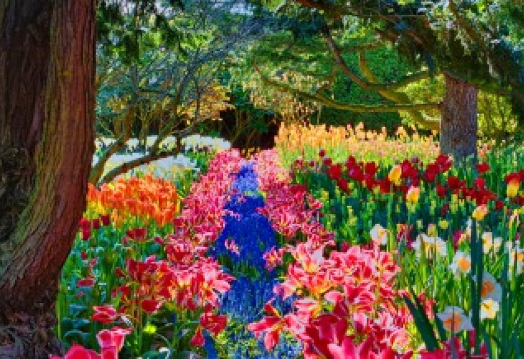 A Colorful Haven: Exploring the Enchanting Floral Carpet in Nature's Own 4K Wallpaper