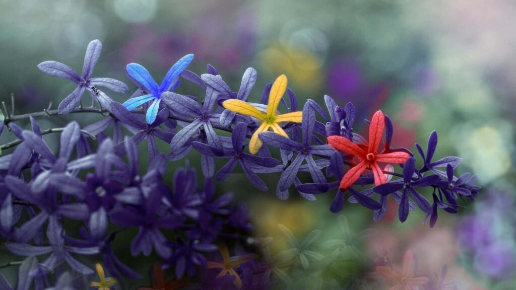 Vibrant Floral Wallpaper: Colorful Bouquet with Blue, Yellow & Red