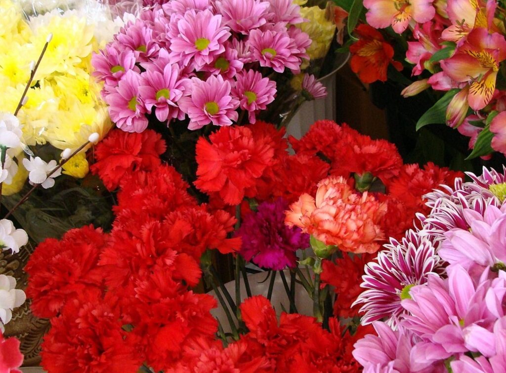 Vibrant Floral Wallpaper: Colorful Flowers for Any Bright Space