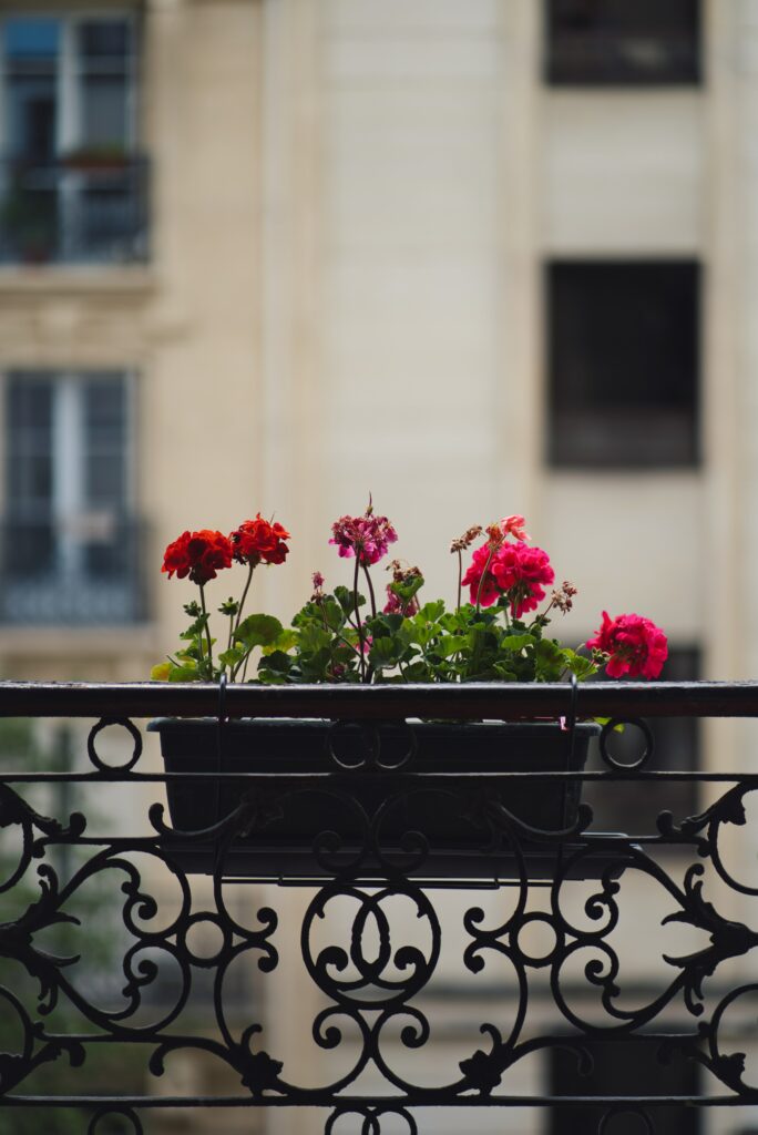 Colorful Geraniums Wallpaper: Elegant Floral Scene on Balcony Railing