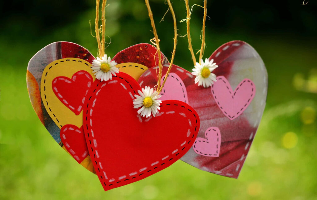 Colorful Heart & Daisy Wallpaper Against Lush Green Background