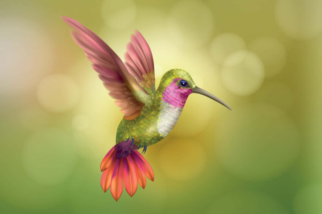 Colorful Hummingbird Wallpaper: Dreamy Bokeh Background