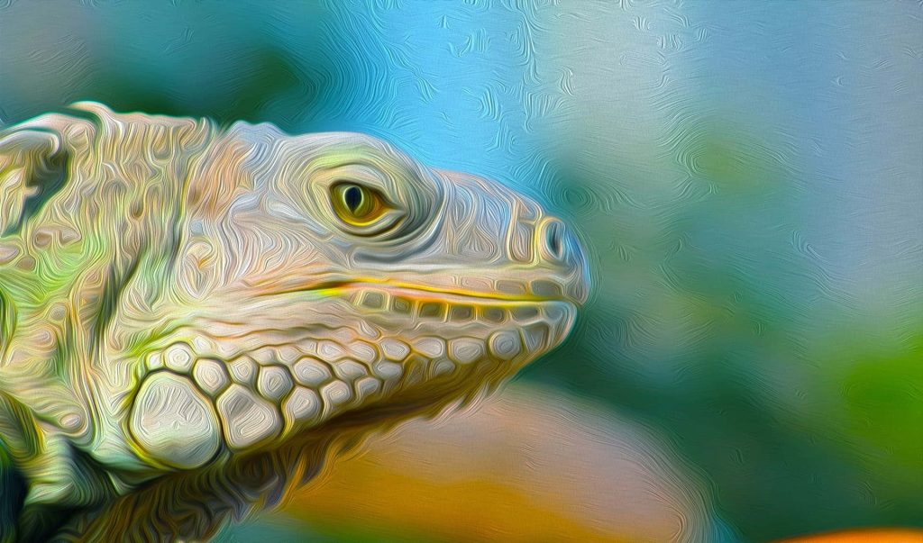 Colorful iguana portrait wallpaper with detailed impasto texture and vibrant blue green orange background