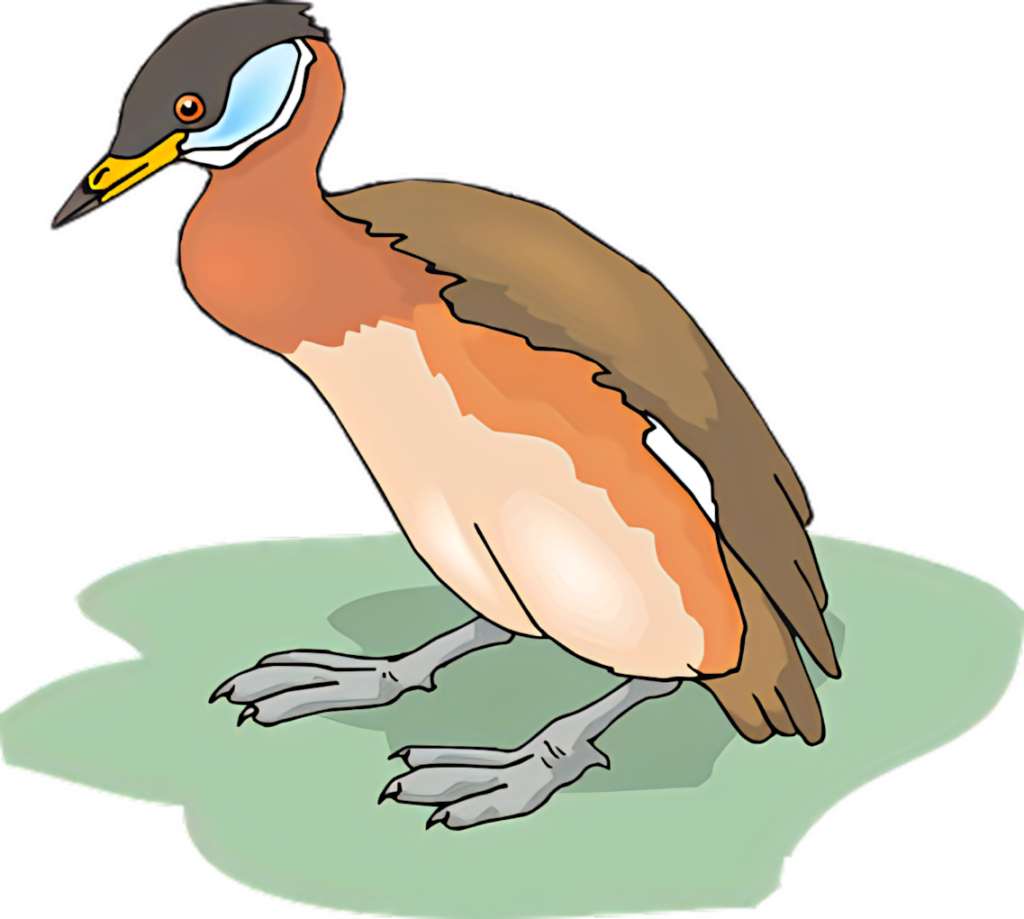 Colorful Illustrated Bird on Green Patch - Captivating Wallpaper