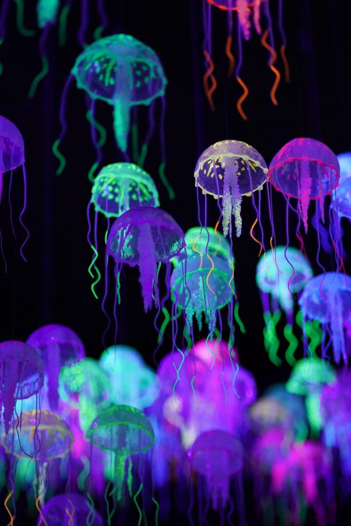 Mesmerizing Colorful Jellyfish Wallpaper: Calming & Captivating Scene