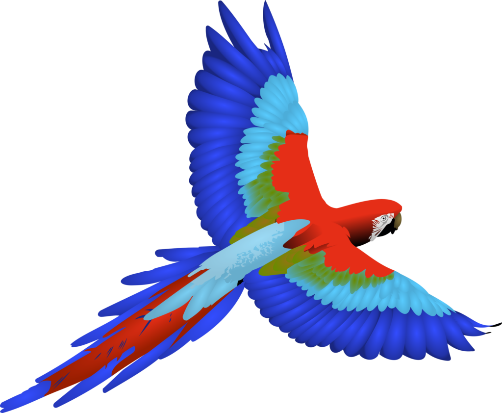 Colorful Macaw in Flight Wallpaper - Vibrant Red, Blue & Green Feathers