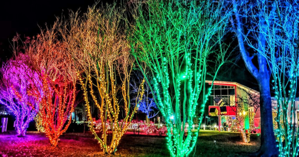 Colorful Trees Illuminate Night in Festive Outdoor Scene Wallpaper