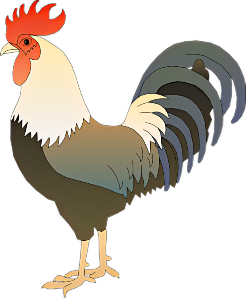 Colorful Rooster Illustration: Striking Red Comb & Vibrant Plumage Wallpaper