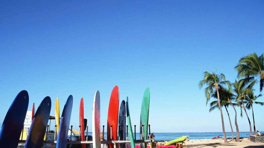 Colorful Surfboards on Sandy Beach - Vibrant Tropical Wallpaper