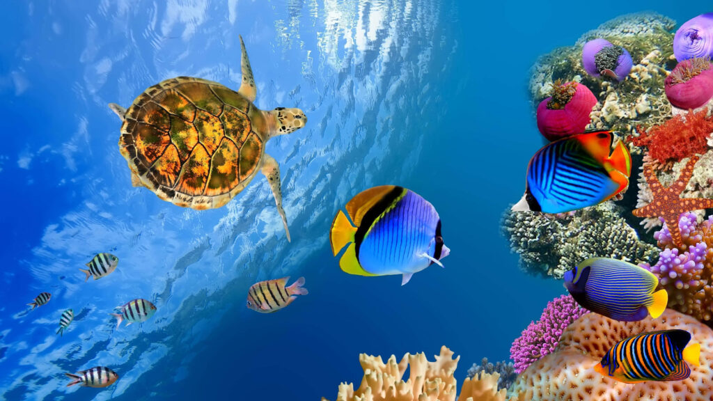 Vibrant Tropical Fish & Sea Turtle Wallpaper - Colorful Coral Reef Scene