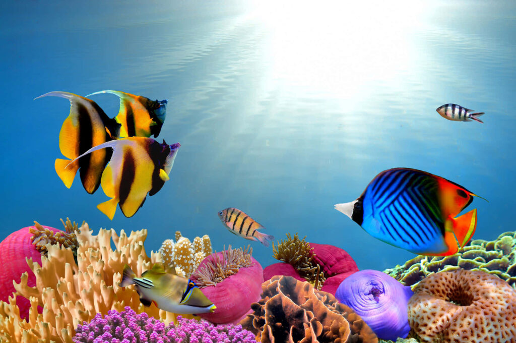 Vibrant Underwater Wallpaper: Colorful Fish & Coral Scene Background