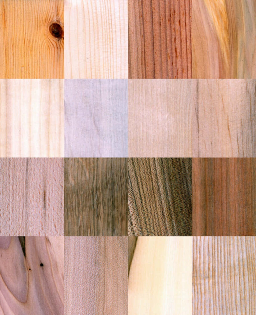 Wood Texture Wallpaper: Diverse Natural Patterns & Colors Background
