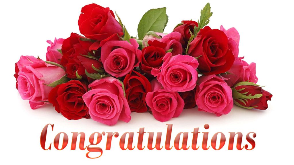 Vibrant red and pink rose bouquet with congratulations text on white background wallpaper