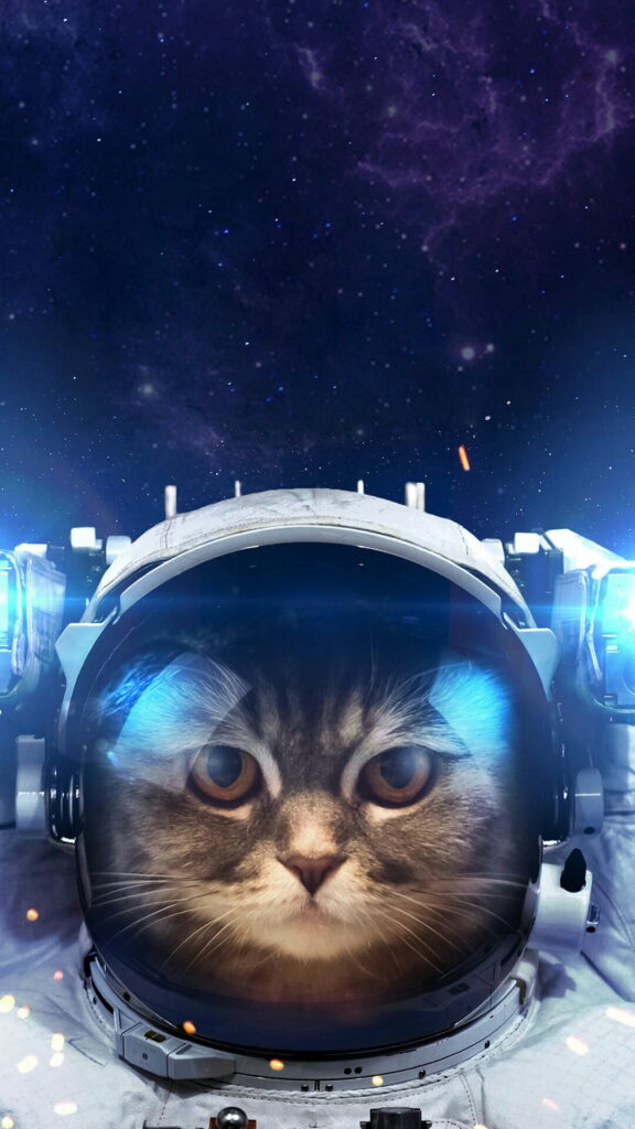 Cool Astronaut Cat Takes Over Space: HD Phone Wallpaper Background Photo