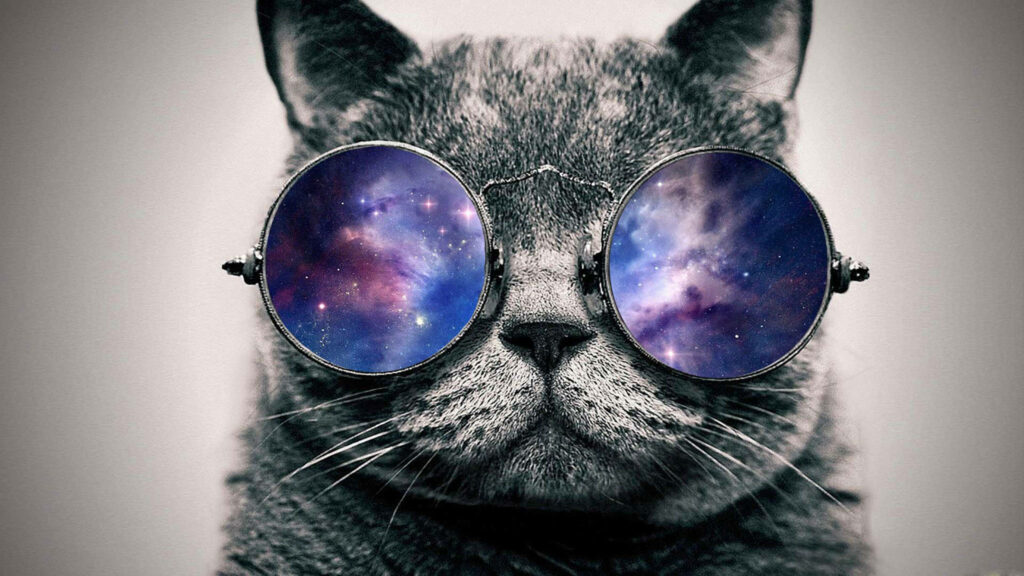 Cosmic Feline: A Dazzling British Shorthair with Spectacular Eyewear Enhances Any Space Wallpaper