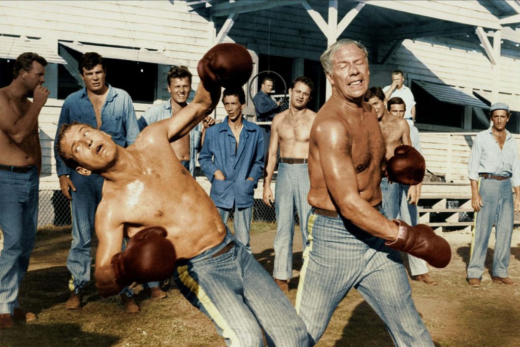 Cool Hand Luke boxing scene with Paul Newman and George Kennedy in sunlit prison yard wallpaper