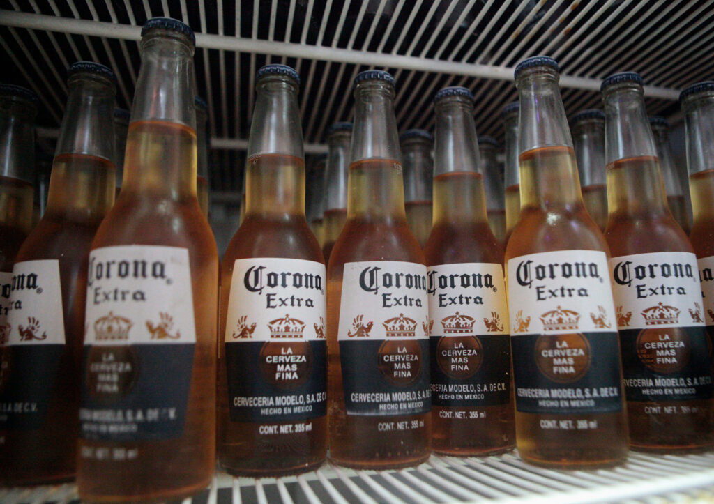 Rows of Corona Extra beer bottles on fridge shelf showcasing clear glass and gold labels Wallpaper