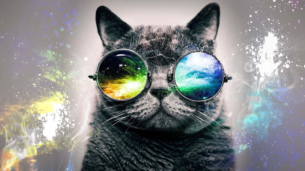 Cool Cat in Cosmic Glasses: Vibrant Galaxy Wallpaper Background