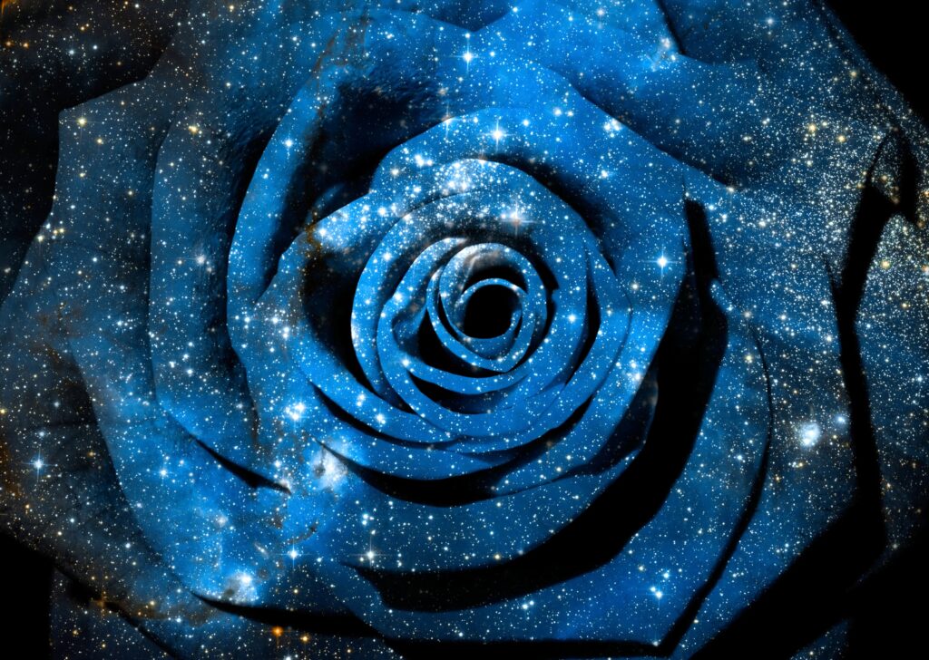Cosmic Rose Wallpaper: Stunning Space-Inspired Background with Stars