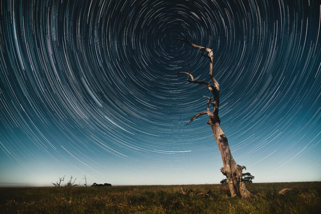 Solitary tree under starry sky with swirling star trails creating cosmic kaleidoscope effect Wallpaper