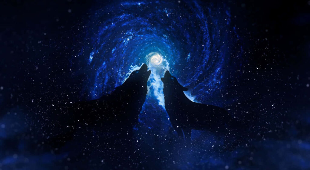 Cosmic Wolf Wallpaper: Silhouetted Howling Wolves in Stunning Galaxy