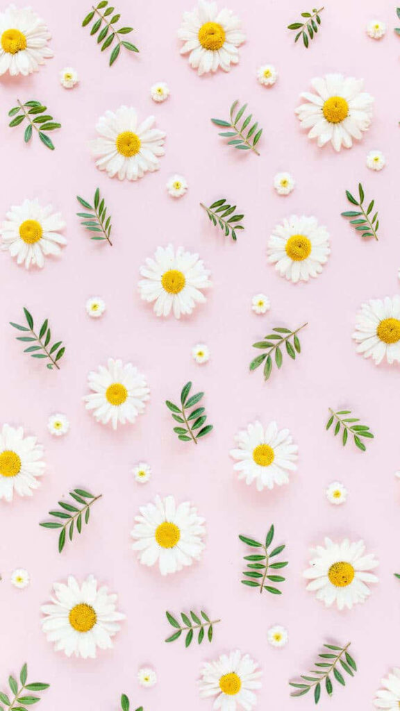 Charming Cottagecore Wallpaper: White Daisies on Soft Pink Background