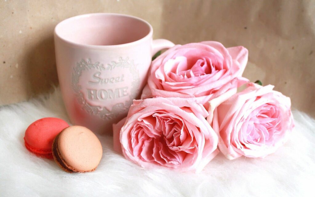 Cozy Aesthetic Wallpaper: Pink Cup, Roses & Macarons Ambiance