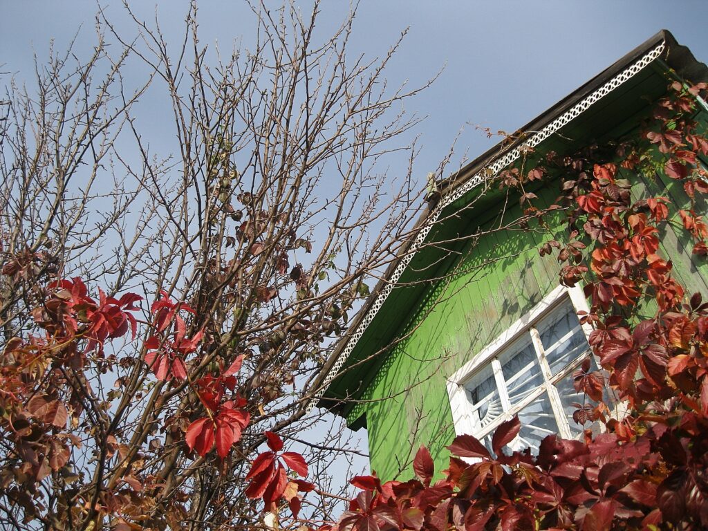 Rustic green house with white window framed by red and brown autumn leaves against clear sky Wallpaper