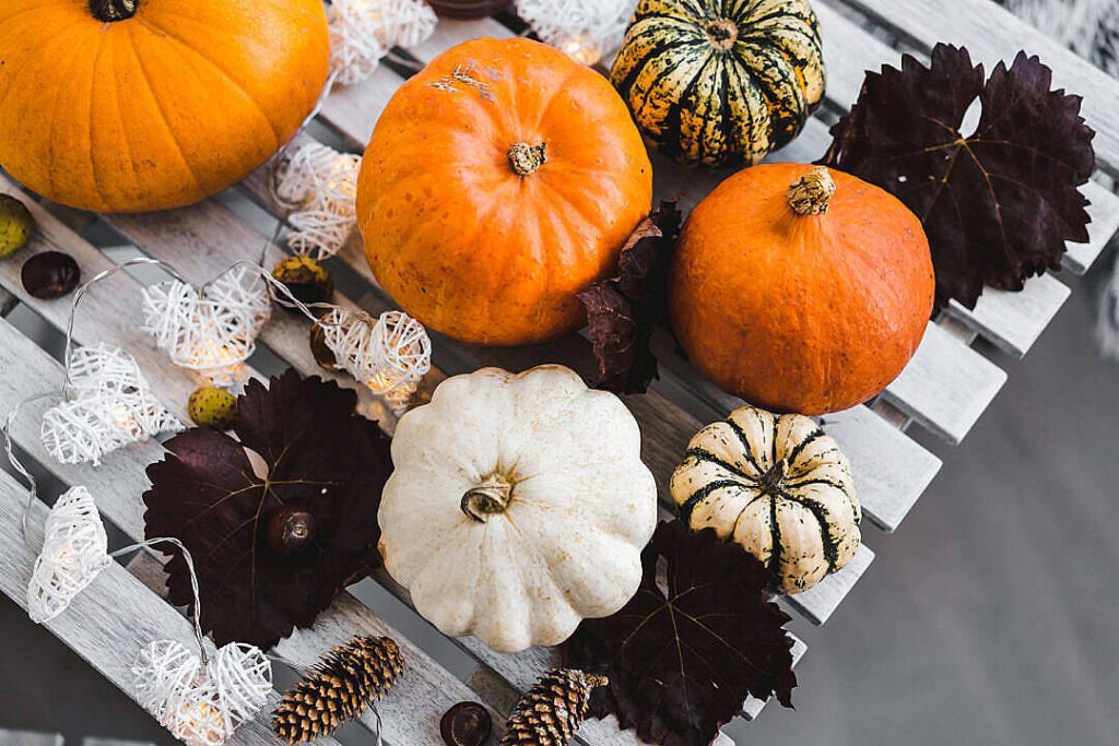 Cozy Halloween wallpaper with orange white pumpkins pinecones dark leaves and glowing string lights