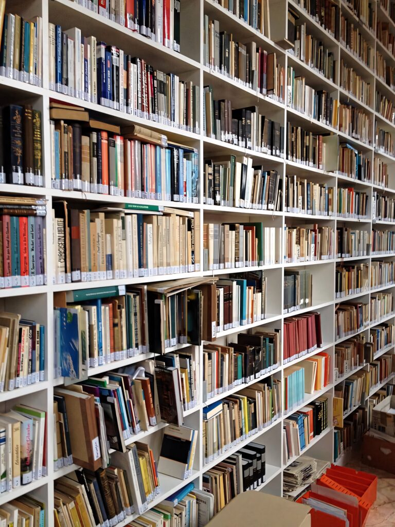 Wall bookshelf filled with diverse books stacked neatly and unevenly in a cozy personal library Wallpaper