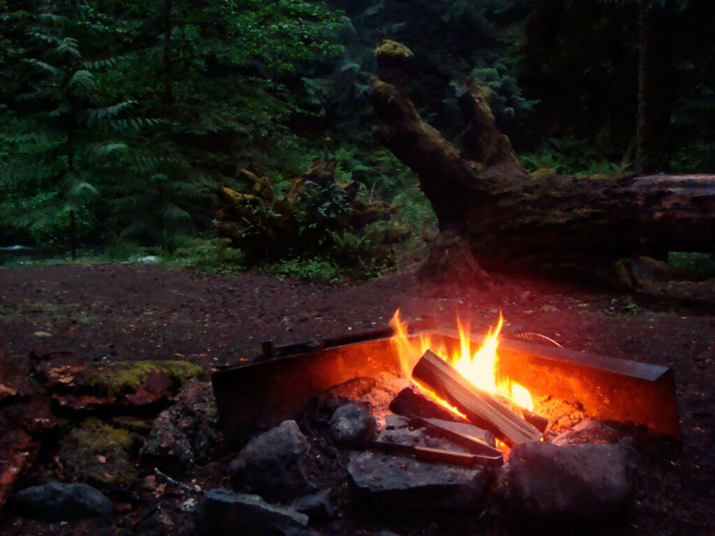 Cozy campfire glowing in tranquil forest with mossy rocks lush green foliage outdoor relaxation Wallpaper