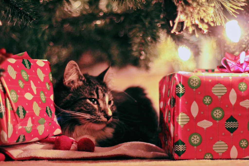Cozy Cat Under Christmas Tree with Gifts & Festive Lights Wallpaper