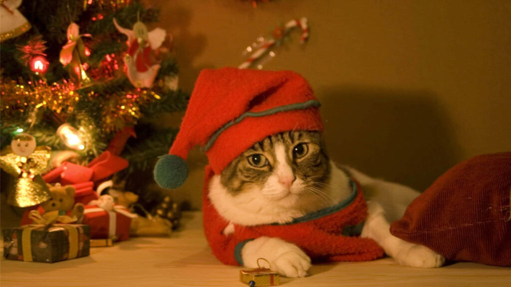 Serene Cat in Festive Red by Christmas Tree – Cozy Holiday Wallpaper