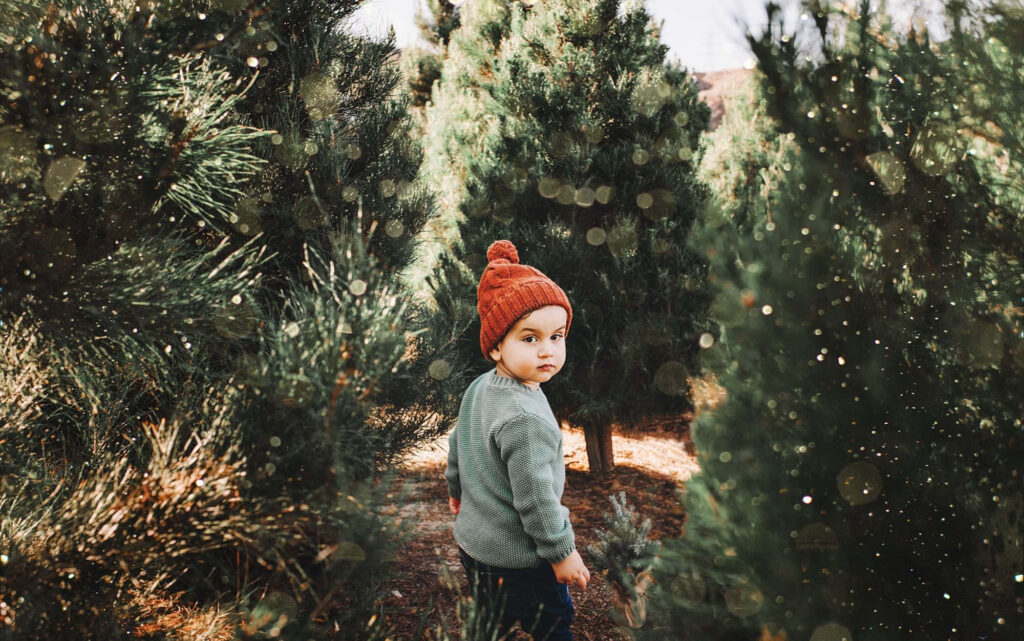 Cozy Child in Sweater at Christmas Tree Farm – Festive Holiday Charm Wallpaper