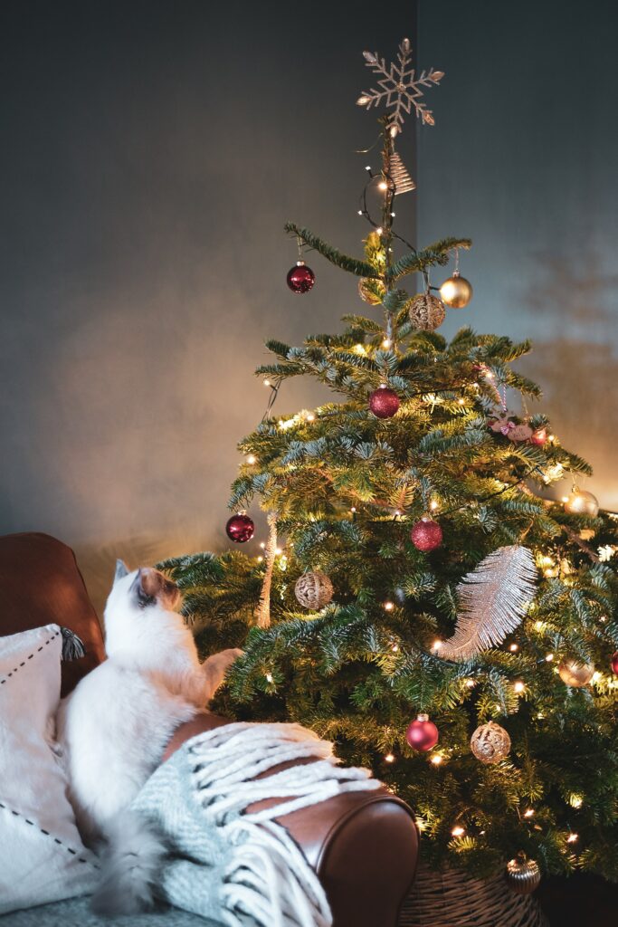 Cozy Christmas Tree Wallpaper with Cat - Festive Holiday Background