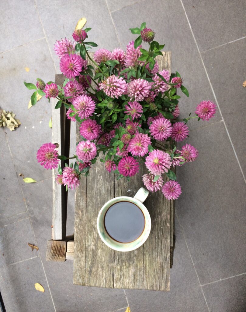 Cozy Coffee & Clover: Rustic Bench Wallpaper Background