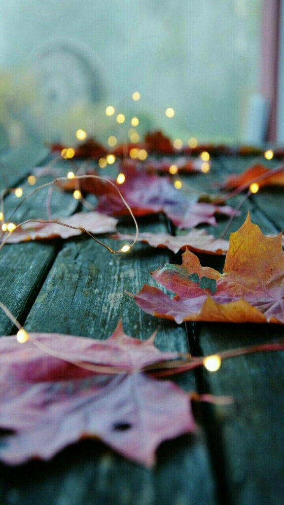 Rustic wooden table with autumn leaves and fairy lights cozy fall phone wallpaper background