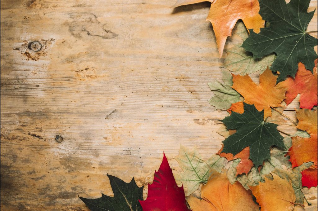 Rustic wood 4K wallpaper with vibrant red orange green maple leaves autumn fall background