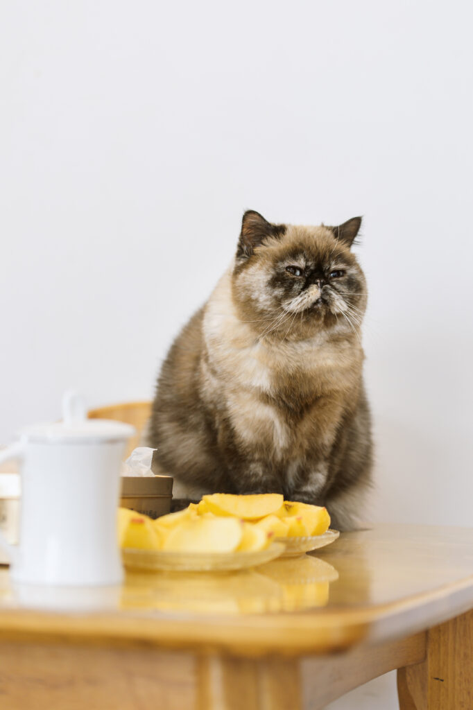 Cozy Cat on Wooden Table with Fresh Fruit - High-Res Wallpaper