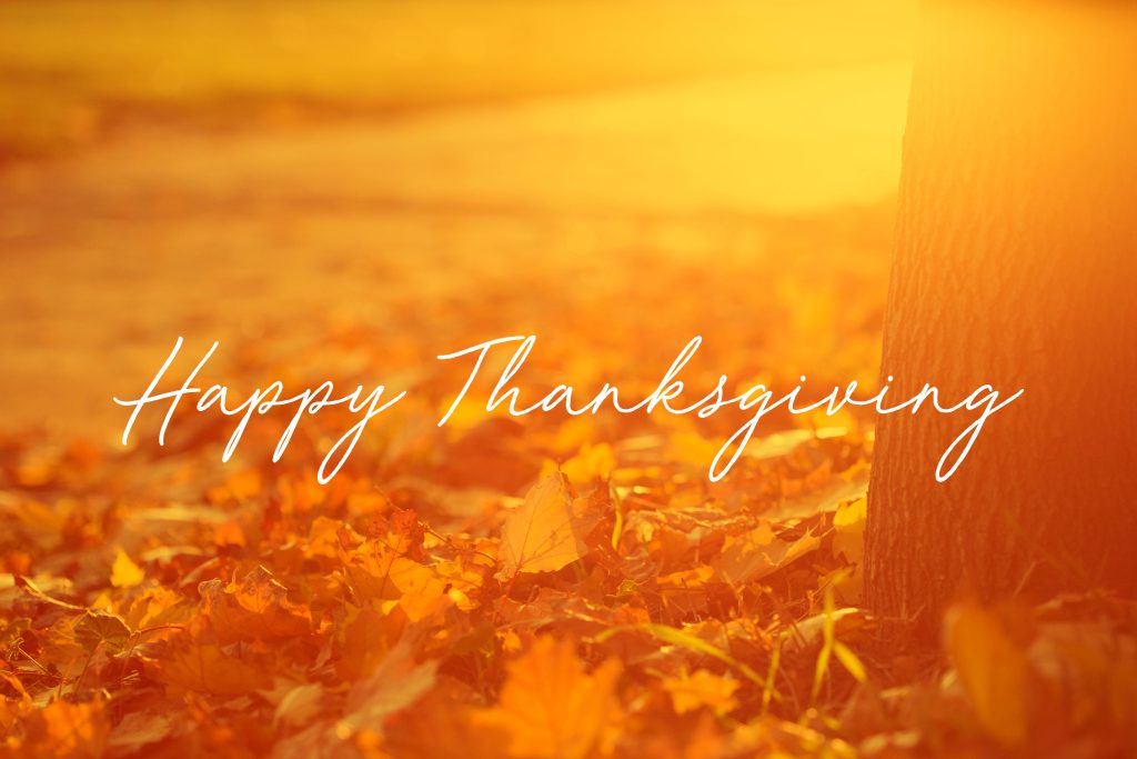 Rustic tree trunk with vibrant autumn leaves glowing in warm orange sunlight Thanksgiving wallpaper