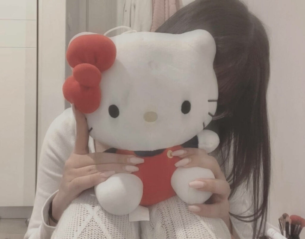 Cozy Aesthetic Wallpaper with Plush Hello Kitty Doll Background