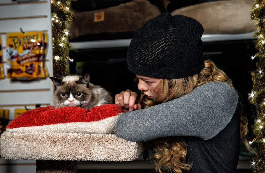 Cozy Holiday Scene: Woman, Grumpy Cat & Festive Lights Wallpaper