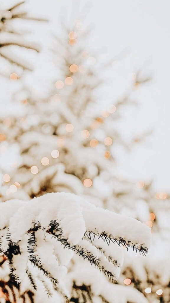 Cozy Winter Scene: Snowy Tree with Glowing Lights Holiday Wallpaper