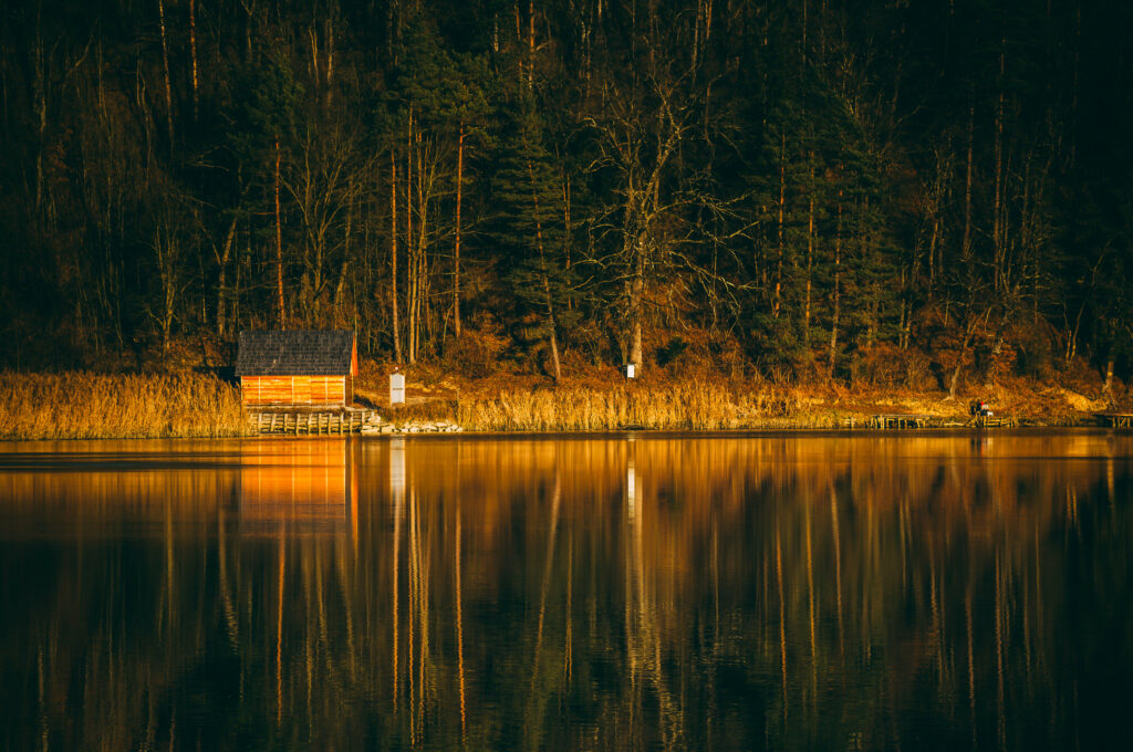 Cozy house by calm lake reflecting dense sunlit forest peaceful woodland retreat wallpaper background