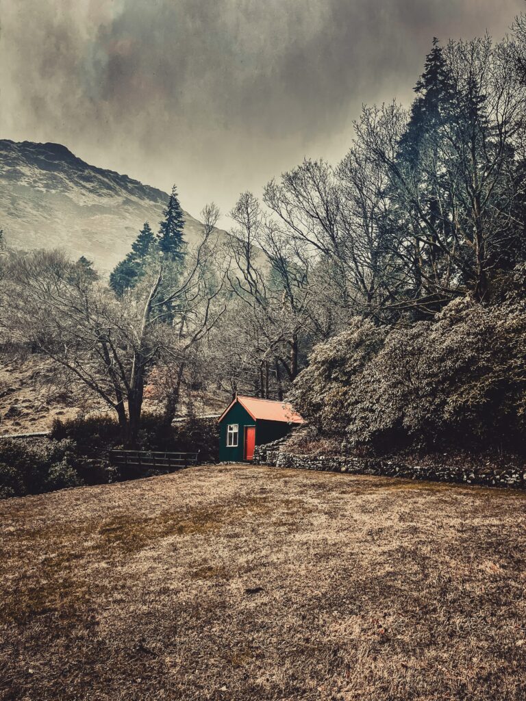 Cozy red-roofed house nestled among tall leafless trees and rugged mountains serene retreat Wallpaper