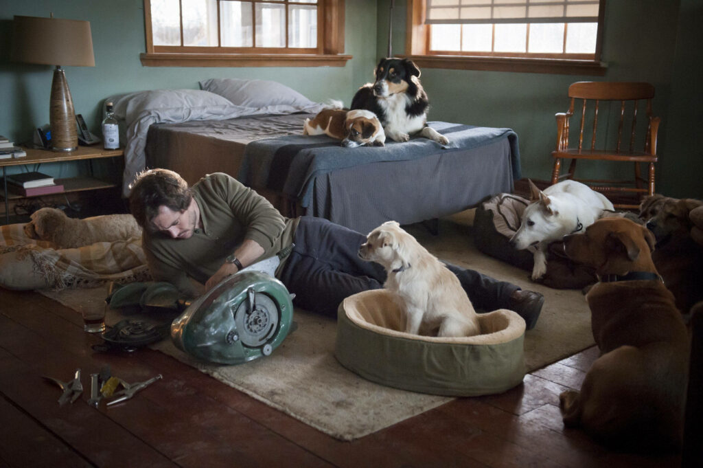 Introspective Man Surrounded by Attentive Dogs in Cozy Room Wallpaper