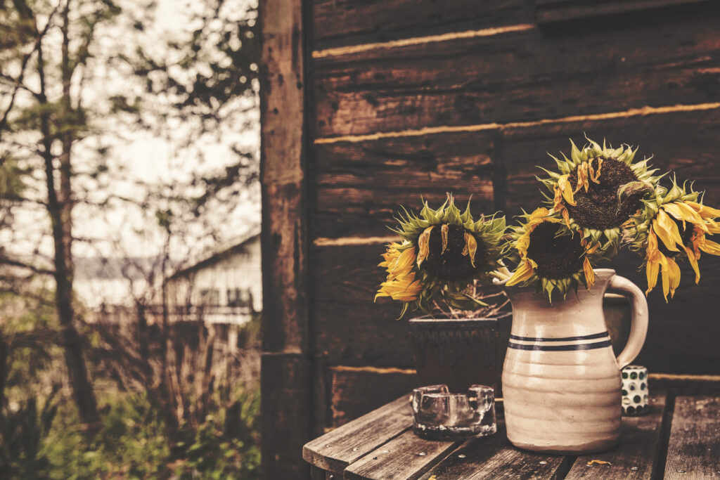 Rustic Ceramic Vase with Sunflowers on Wooden Table - Cozy Vintage Look Wallpaper