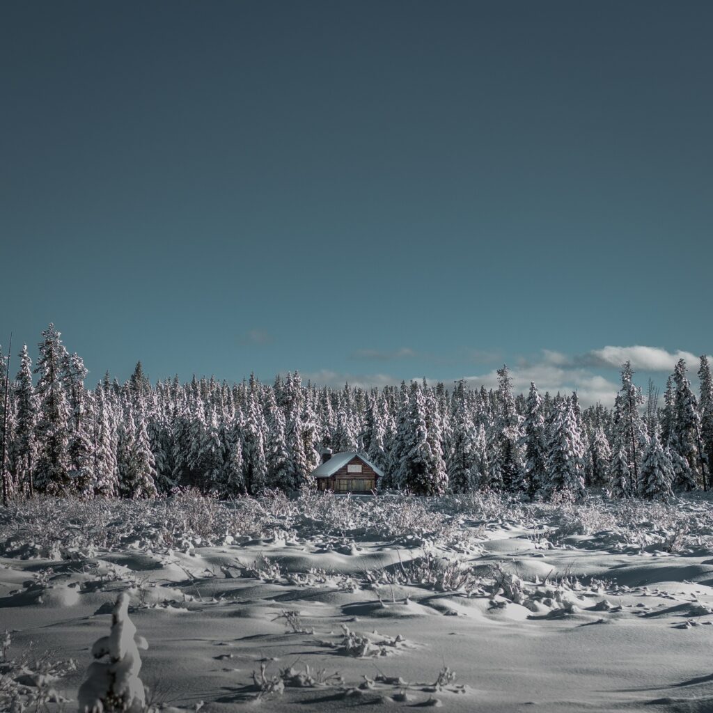 Cozy house in snowy landscape with frosty trees under clear blue winter sky horizon view Wallpaper