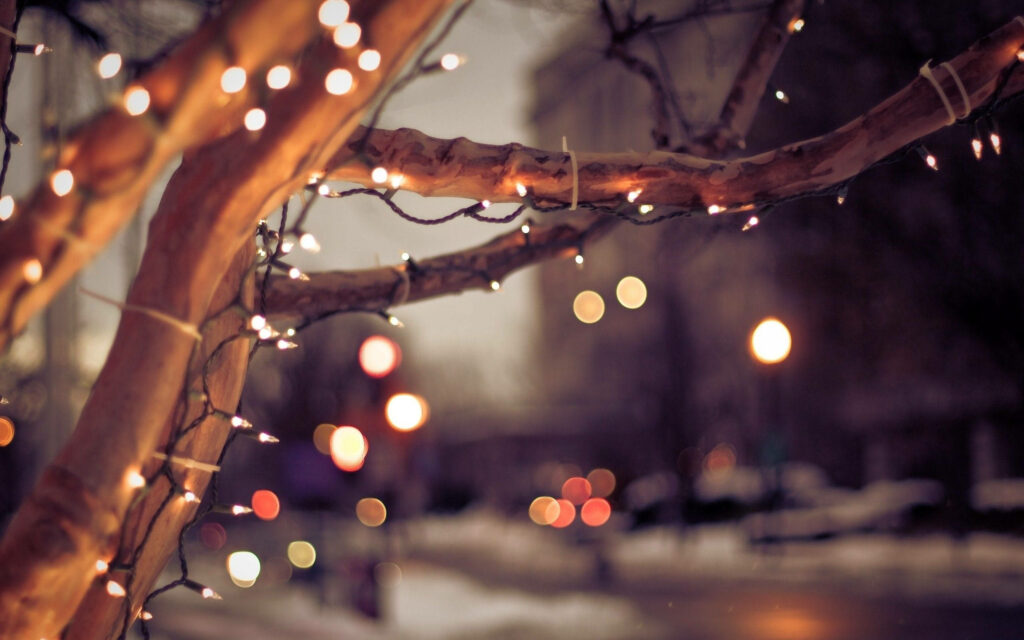 Cozy Winter Tree Wallpaper with Glowing Lights in Urban Setting